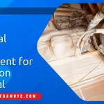 Essential Safety Equipment for Insulation Removal