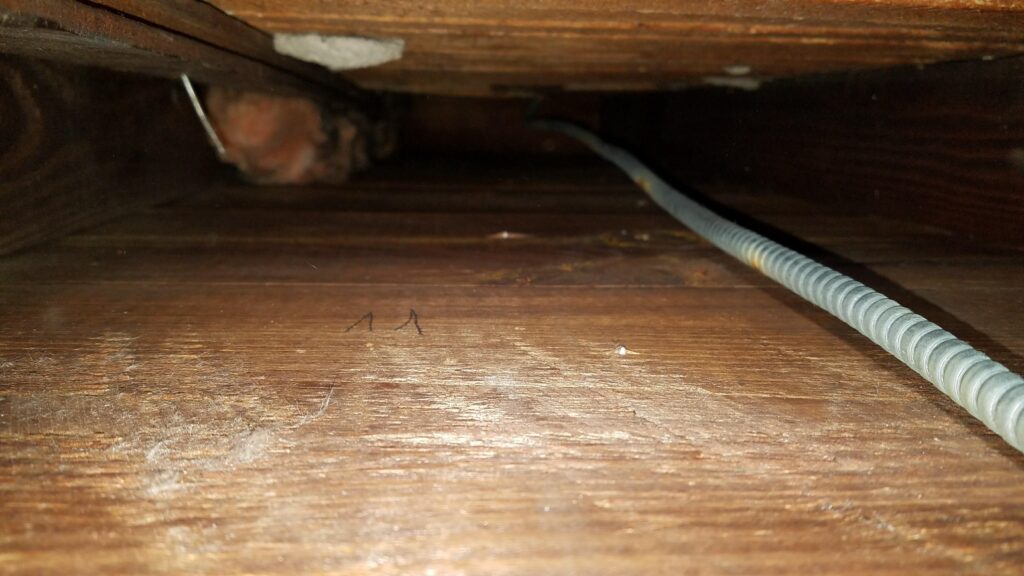 Clean, Empty Stud Cavities
